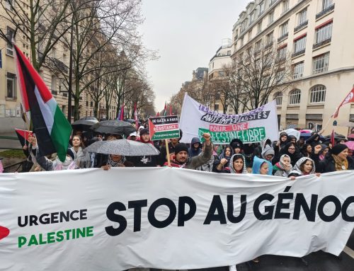 تغير آراء… ومظاهرات في دول عربية وأجنبية تضامنا مع فلسطين