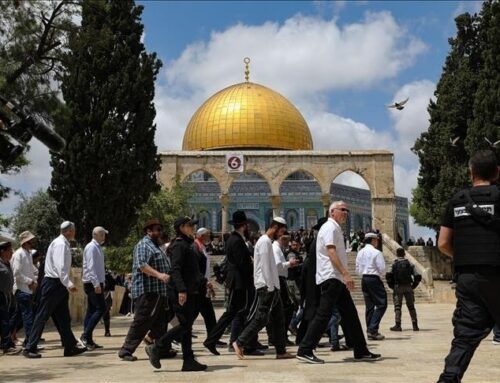 For the sixth consecutive day: Settlers storm Al-Aqsa Mosque