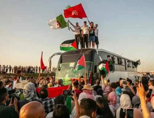 قوافل كسر الحصار.. قلوب تبحر نحو غزة وتُنحر على عتبات السياسة