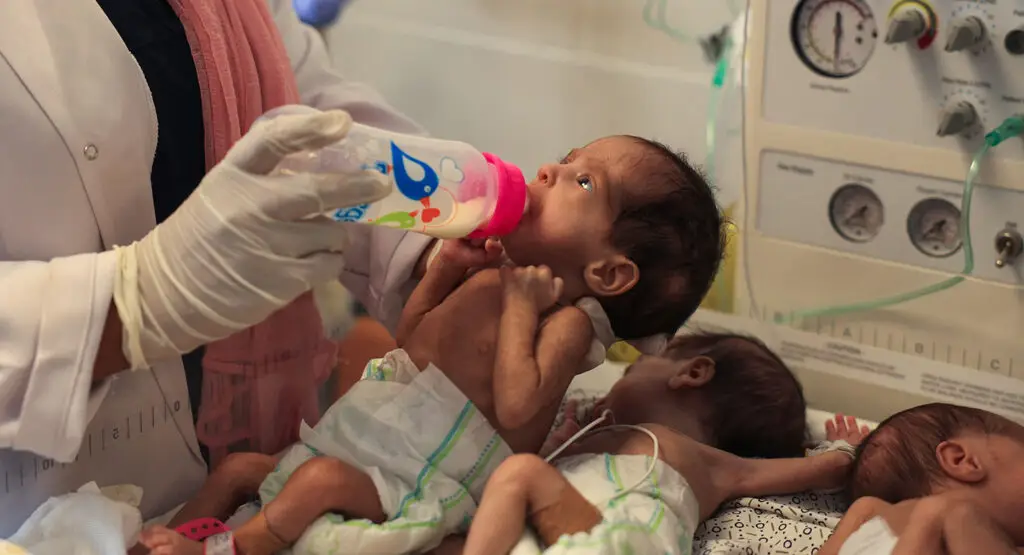 Gaza Is Dying Amid the World's Silence… Famine Reaches Incubators and Death Haunts Families