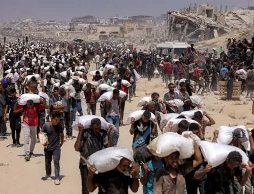 UN Report: The Usurping Entity is Committing a Systematic Genocide in Gaza