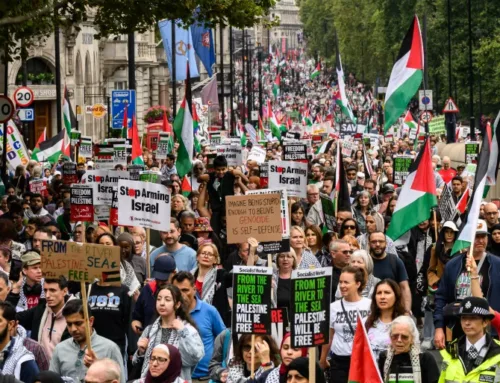 ضغط الشارع المناصر لفلسطين يترجم إلى مواقف رسمية غربية أكثر جرأة