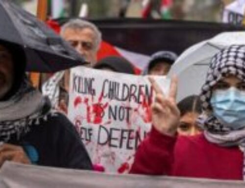 The Usurping Entity at a Crossroads of Transformation: When Power Shifts After the Gaza War