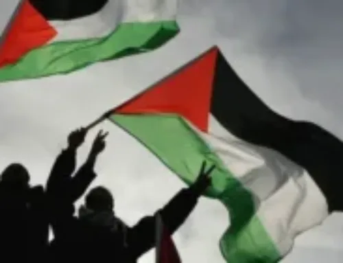 With Palestine… The Memory of Global Solidarity After the War of Genocide
