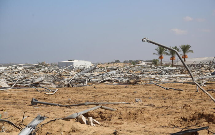 Gaza… The Land Once Green Awakes to Famine