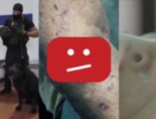 YouTube Deletes Hundreds of Videos Documenting the Occupation’s Violations…