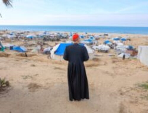 On Christmas… Gaza Lights Its Candle in the Face of Darkness