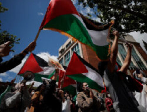 Why Do We Stand in Solidarity with Palestine?