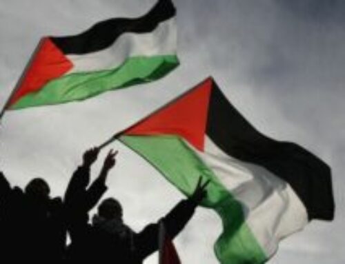 When the Land Speaks… Palestine Deserves